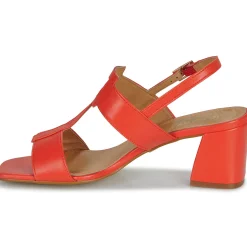 JB Martin - VITALIE NAPPACORAIL Online