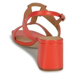 JB Martin - VITALIE NAPPACORAIL Online