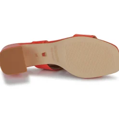 JB Martin - VITALIE NAPPACORAIL Online