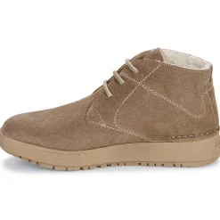 Josef Seibel - ANNA 08< Bottines / Boots