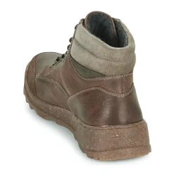 Josef Seibel - RAYMOND 02< Bottines / Boots