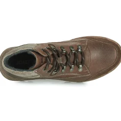 Josef Seibel - RAYMOND 02< Bottines / Boots