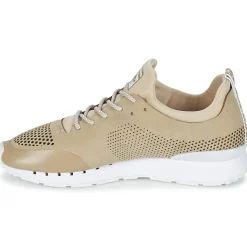 Kangaroos Baskets Mode^- COIL 2.0 MONO