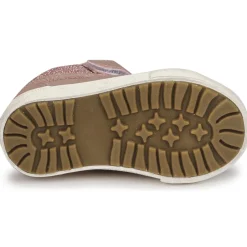 Kangaroos - KAVU III Rose New
