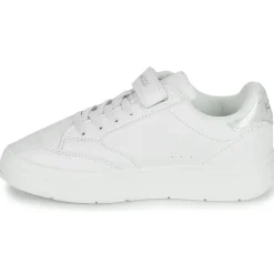Kangaroos - K-GK Ready EV< Baskets Mode