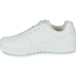Kangaroos Baskets Mode^- K-Watch