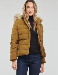 Kaporal - DIBBY Camel New