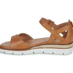 Karston - KILGUM Camel Online