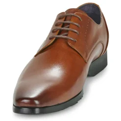 Kdopa - CARLIER Camel Discount