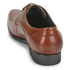 Kdopa - CARLIER Camel Discount