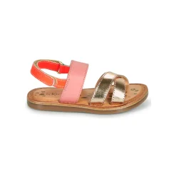 Kickers - DYACROSS Rose Sale