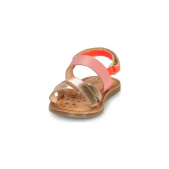 Kickers - DYACROSS Rose Sale