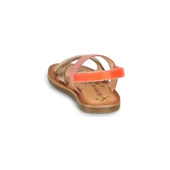 Kickers - DYACROSS Rose Sale