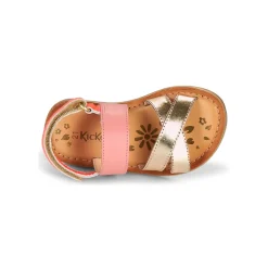 Kickers - DYACROSS Rose Sale