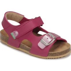 Kickers - FUXIO Rose Online