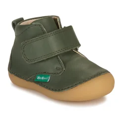Kickers Bottines / Boots^- SABIO