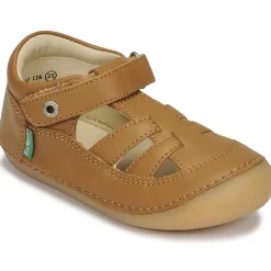 Kickers - SUSHY Camel Sale
