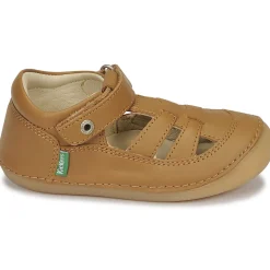 Kickers - SUSHY Camel Sale