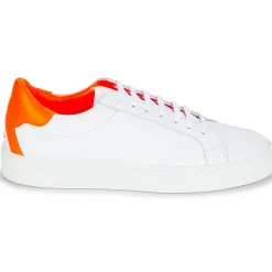 KLOM Baskets Mode^- KEEP