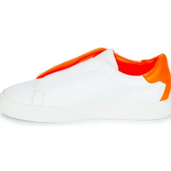 KLOM - KISS Outlet
