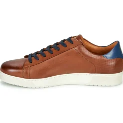 KOST - BATTLE 36 Cognac Sale