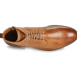 KOST - NICHE 39 Cognac Hot