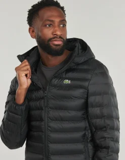 Lacoste Manteaux^- BH2909