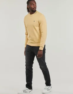 Lacoste Sweats & Polaires^- SH9608