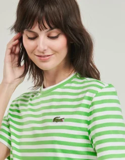 Lacoste T-shirts & Polos^- TF2594