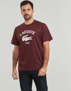 Lacoste - TH2733 Bordeaux New