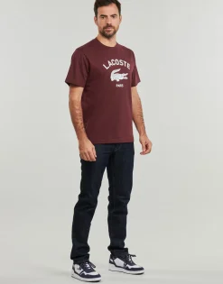 Lacoste - TH2733 Bordeaux New