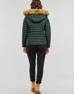 Les Petites Bombes - ALIMA Vert Discount