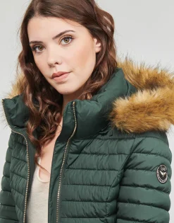 Les Petites Bombes - ALIMA Vert Discount