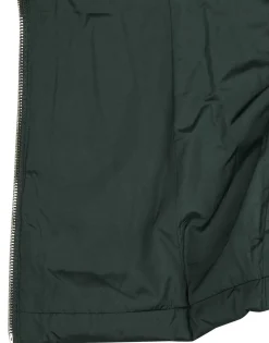 Les Petites Bombes - ALIMA Vert Discount