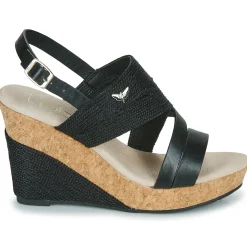 Les Petites Bombes - MELINE Noir Clearance