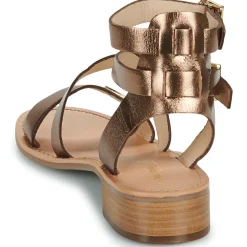 Les Tropéziennes par M Belarbi - HOCEAN Bronze Online