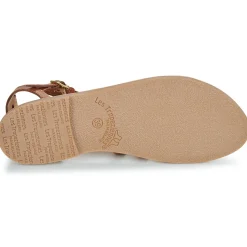 Les Tropéziennes par M Belarbi - HIKAELA Cognac Discount
