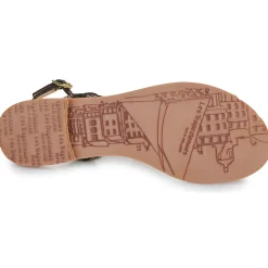 Les Tropéziennes par M Belarbi - HAMSONG Clearance