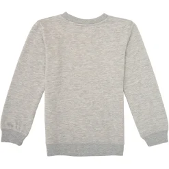 Levi's - BATWING CREWNECK Gris Best