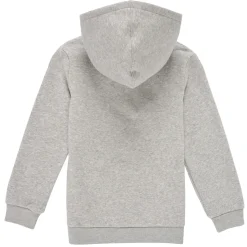 Levi's - BATWING SCREENPRINT HOODIE Gris New