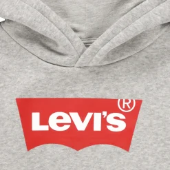 Levi's - BATWING SCREENPRINT HOODIE< Sweats & Polaires