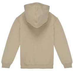 Levi's - LVB MINI BATWING HOODIE< Sweats & Polaires