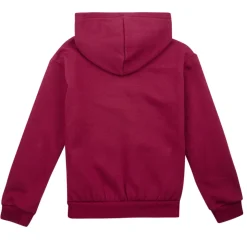Levi's Sweats & Polaires^- LVG POSTER LOGO HOODIE