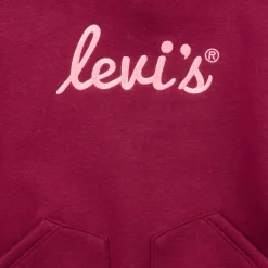 Levi's Sweats & Polaires^- LVG POSTER LOGO HOODIE