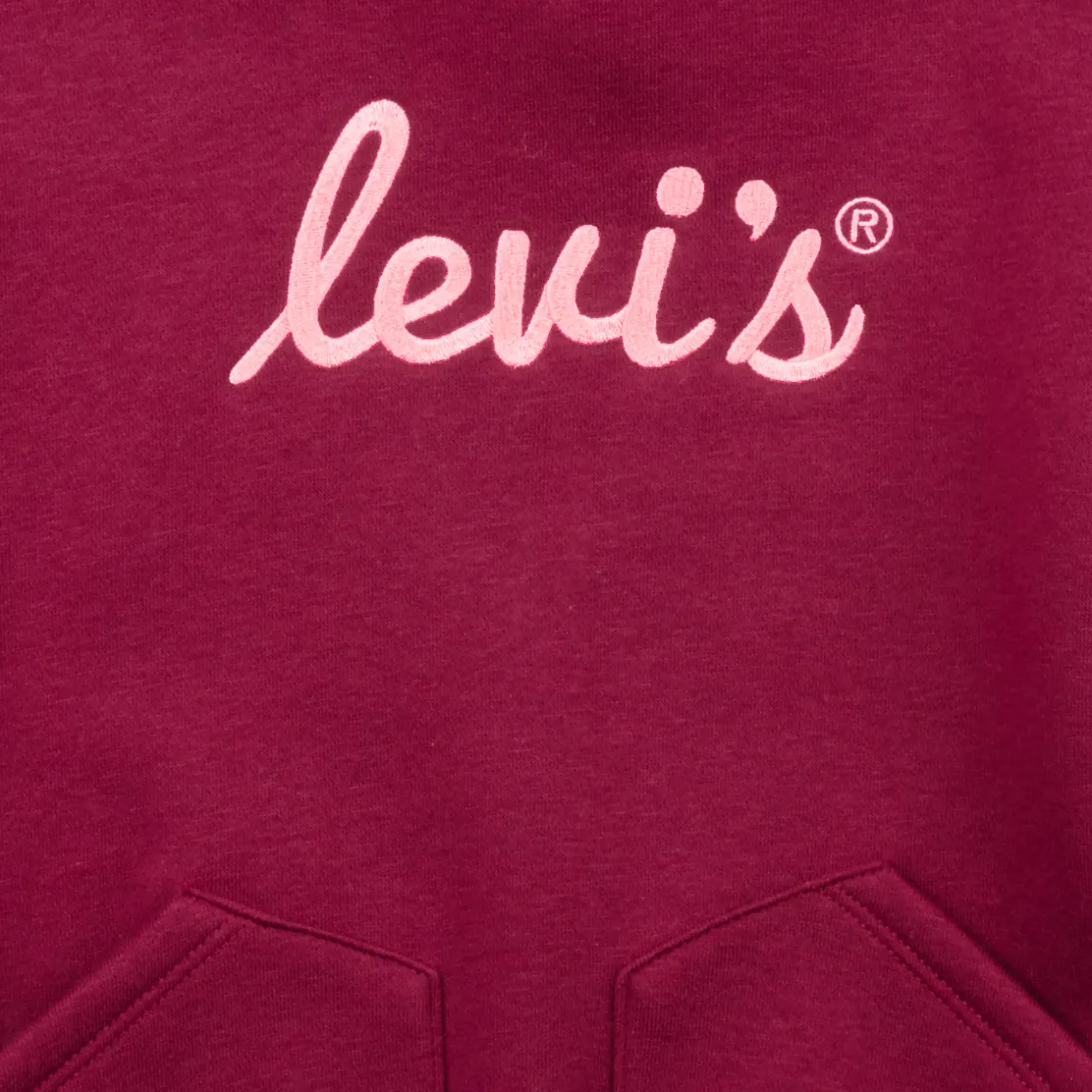 Levi's Sweats & Polaires^- LVG POSTER LOGO HOODIE