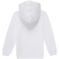 Levi's - PALM BATWING FILL HOODIE Online