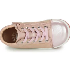 Little Mary - VITAMINE Rose Sale