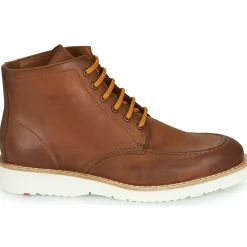 Lloyd - DEBAR Marron Clearance