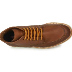 Lloyd - DEBAR Marron Clearance