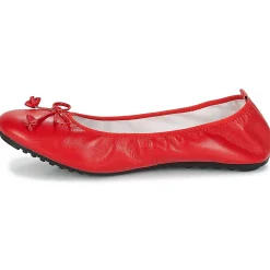 Mac Douglas - ELIANE< Ballerines / Babies